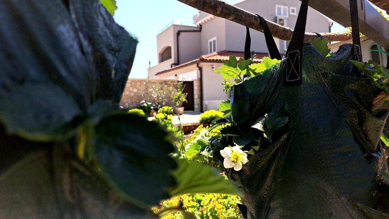 Dubrovnik Airport Apartment Tea Durovici Buitenkant foto
